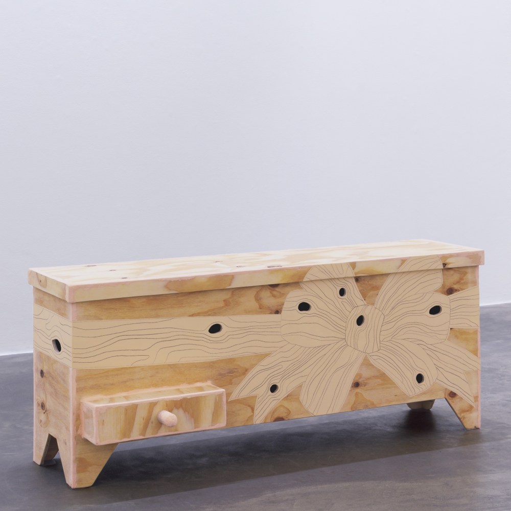 Hannah Fitz

Pinocchio&amp;rsquo;s Bitter End (Lying Knows What Eye Nose Knot)
2022

wood, paint, graphite

64 x 157 x 56 cm / 25.2 x 61.8 x 22 in