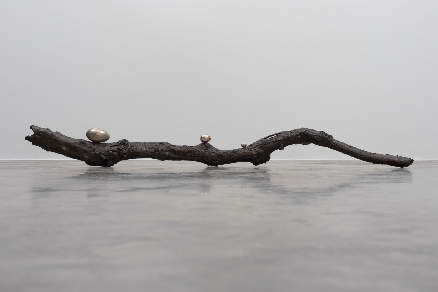 Dorothy Cross&amp;nbsp;
Branch, 2017
cast bronze branch and three polished bronze eggs
20 x 203 x 15 cm / 7.9 x 79.9 x 5.9 in