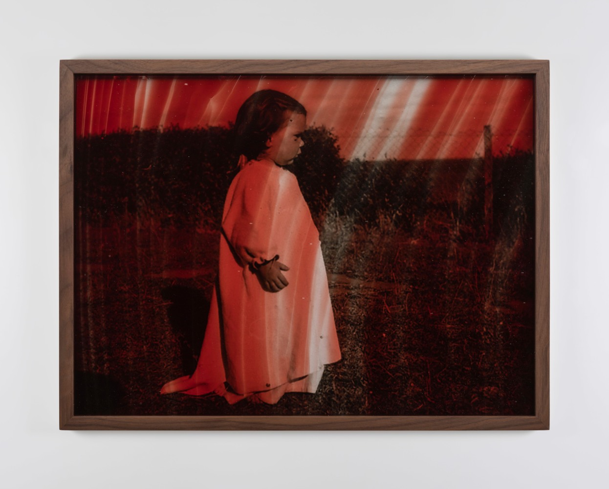 Dorothy Cross  Bloodlines Series (Garden child), 2024