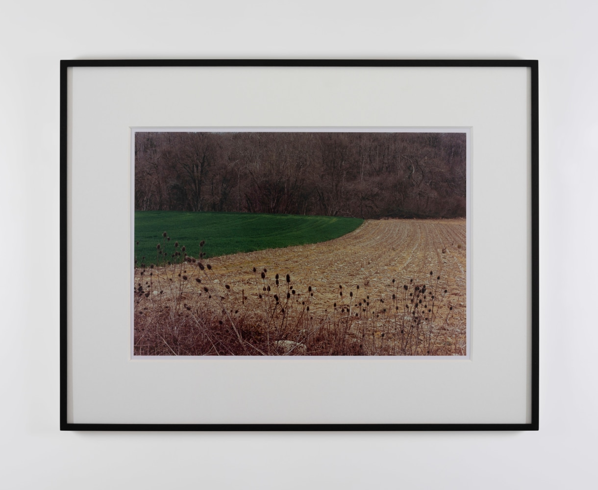 Samuel Laurence Cunnane
Boundary, 2023
Hand-printed C-type print on archival photo paper, framed
edition of 3 + 1AP
32 x 47.5 cm / 12.6 x 18.7 in image size&amp;nbsp;
53 x 68.5 cm / 20.9 x 27 in framed