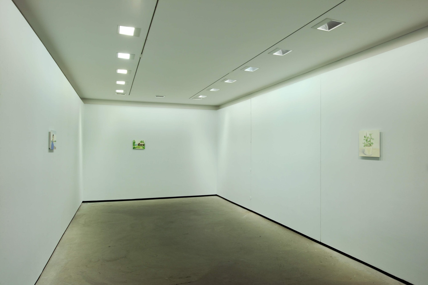 Maureen Gallace
The Paradise [27], 2007
Douglas Hyde Gallery, Dublin, Ireland