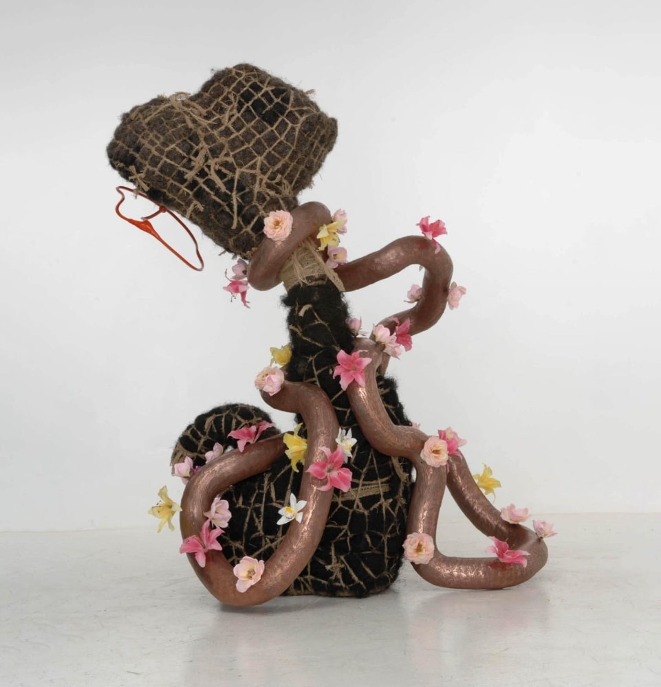 Siobhán Hapaska, Dry Spring