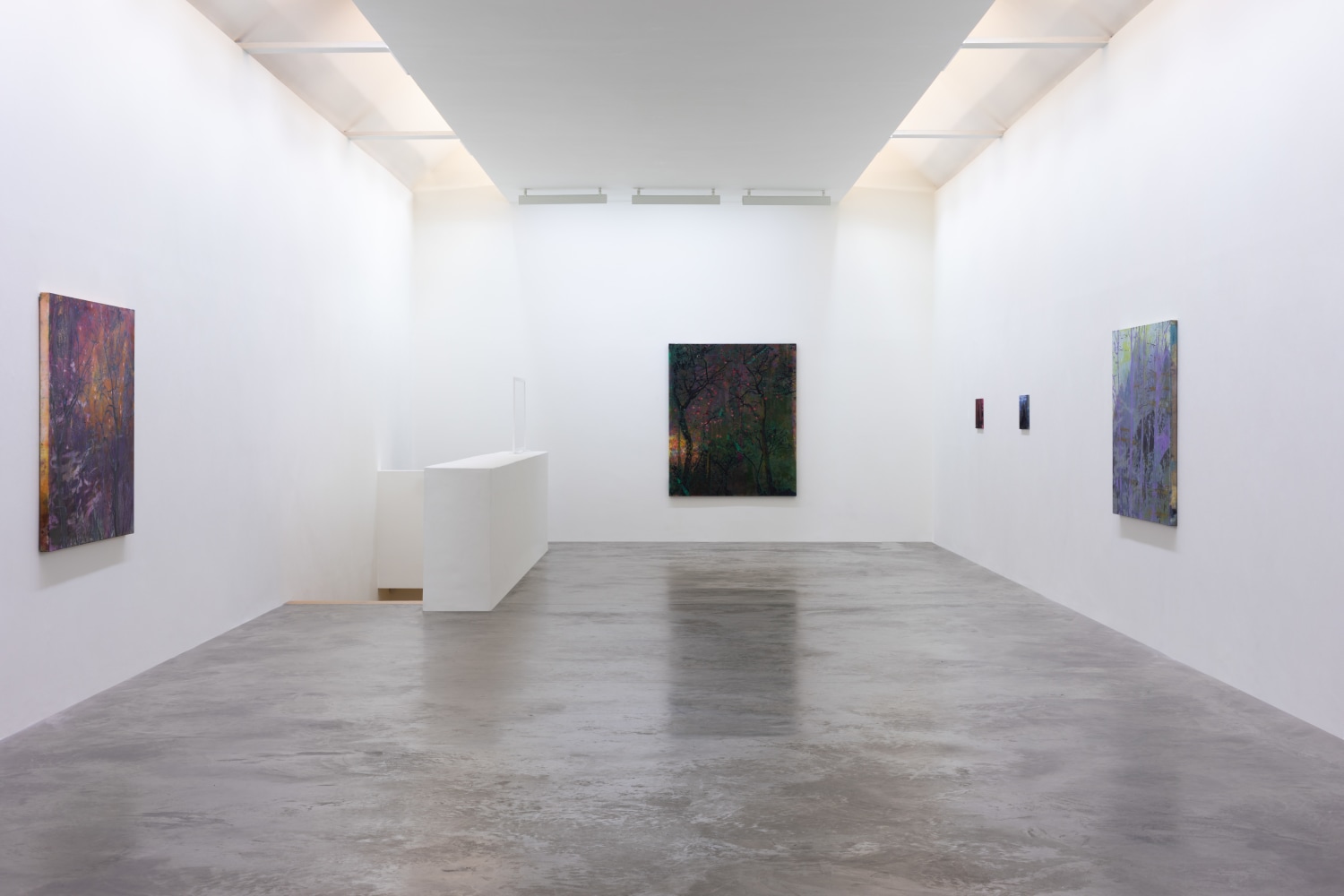 Elizabeth Magill, Red Stars and Variations, Kerlin Gallery, May - July 2021