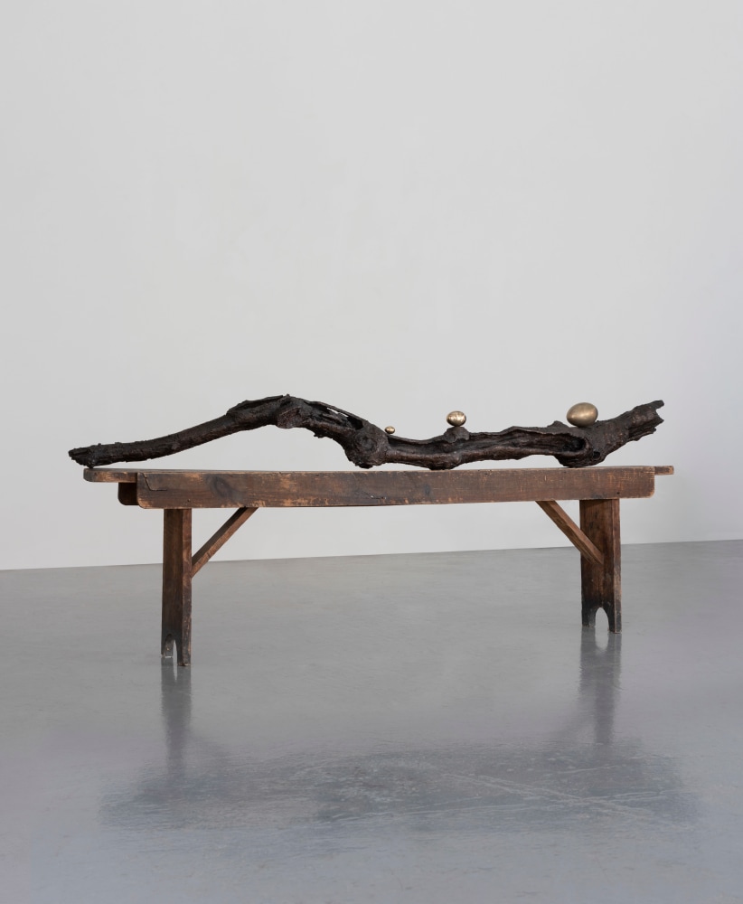 Dorothy Cross
Branch, 2017
cast bronze branch and three polished bronze eggs
20 x 203 x 15 cm / 7.9 x 79.9 x 5.9 in