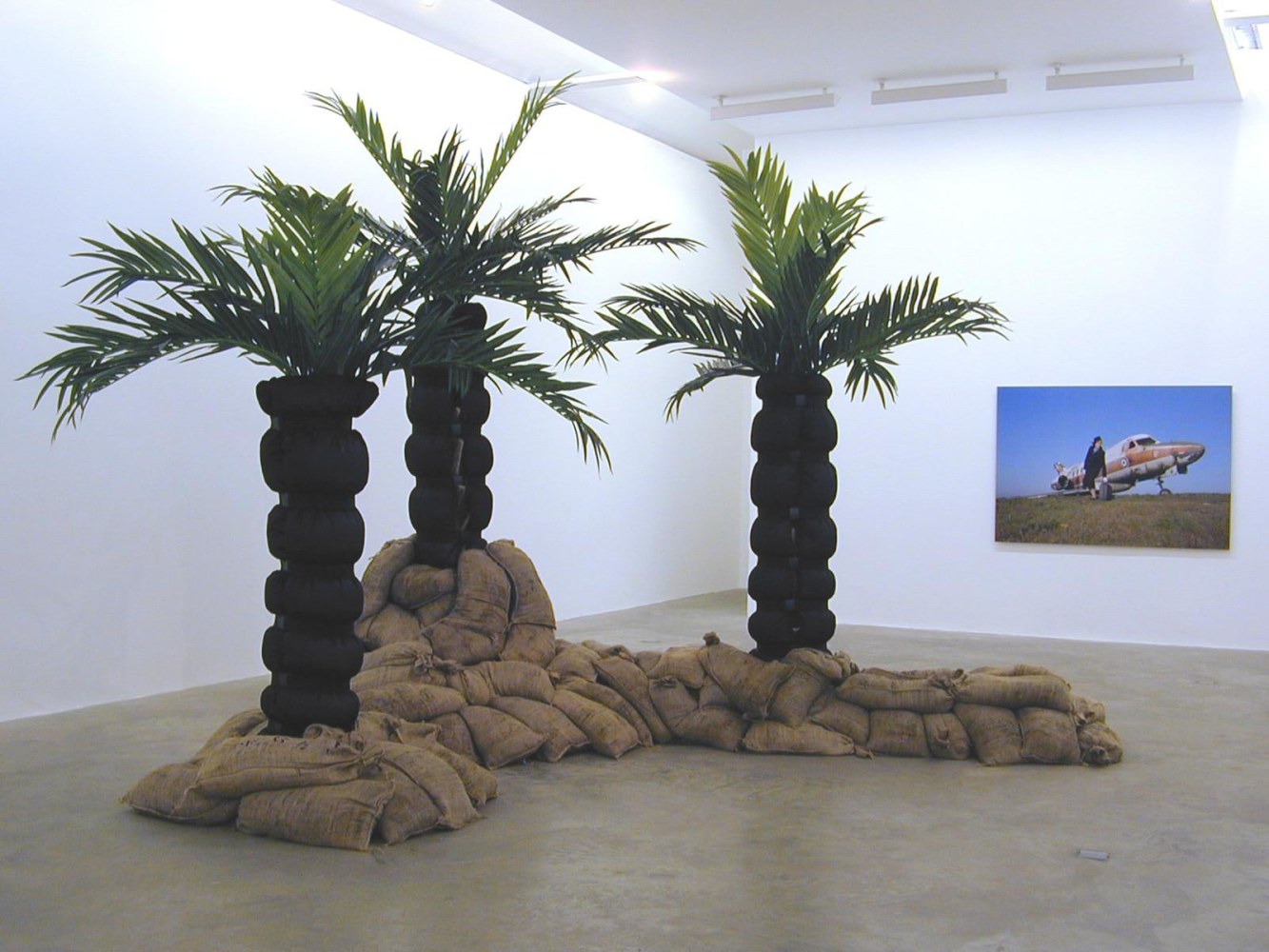 Siobhán Hapaska, Cease Firing On All Fronts, 7