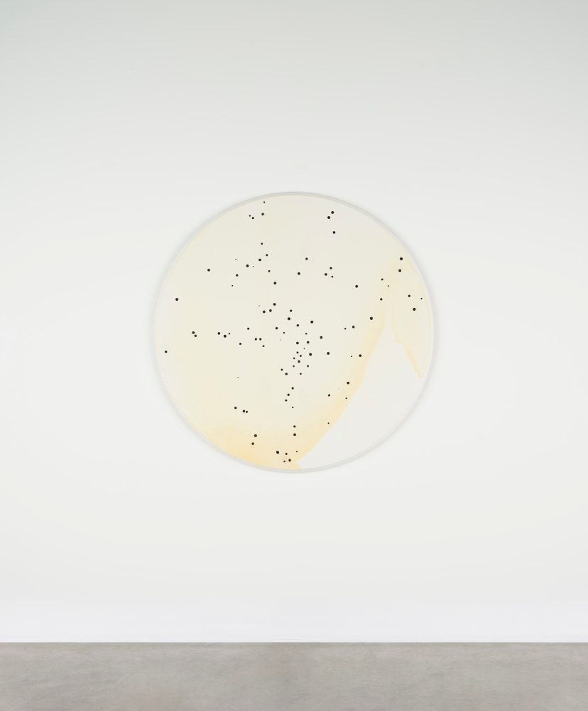 Callum Innes
Untitled, 2022
oil and shellac on Birch Ply
100 x 100 cm / 39.4 x 39.4 in