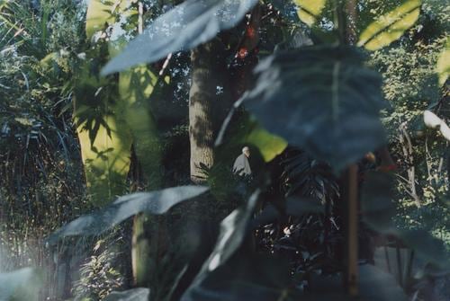 Man in Botanical Garden, Hamburg 2014