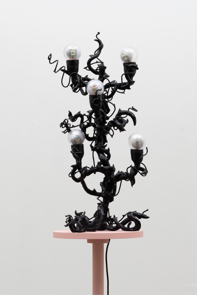 Tai Shani
Unresurrectable Biologies - Un-undead 1, 2022
Epoxy, glass, 3D prints, mohair sheepskin, electrics
80 x 50 cm / 31.5 x 19.7 in