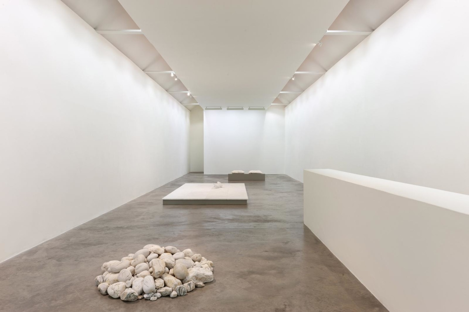 Dorothy Cross I dreamt I dwelt Kerlin Gallery 6 September - 19 October 2019