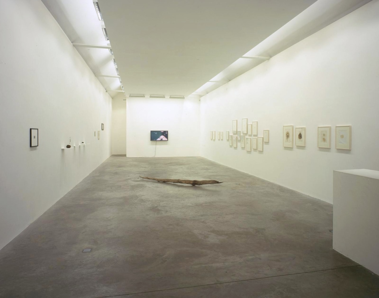 Dorothy Cross Salve Kerlin Gallery, Dublin 30 May - 29 June 2002
&amp;nbsp;