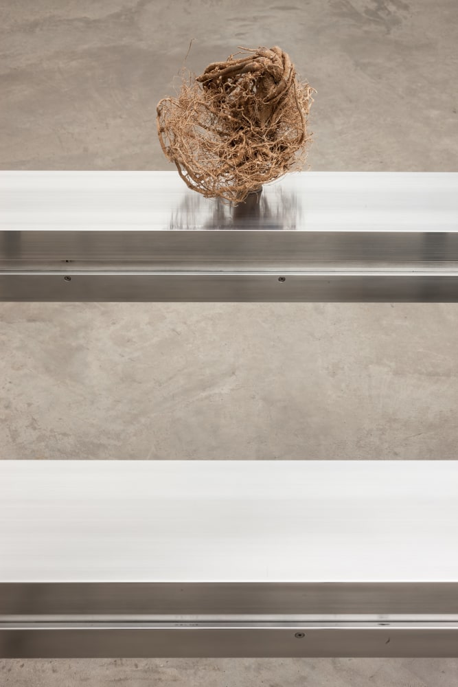 Siobh&amp;aacute;n Hapaska&amp;nbsp;
the recent incarnation of two advanced souls,&amp;nbsp;2012
aluminium, drop-forged scaffold fittings, olive trees, olive tree root balls, motors and various engineering components
97 x 350 x 160 cm / 38.2 x 137.8 x 63 in&amp;nbsp;