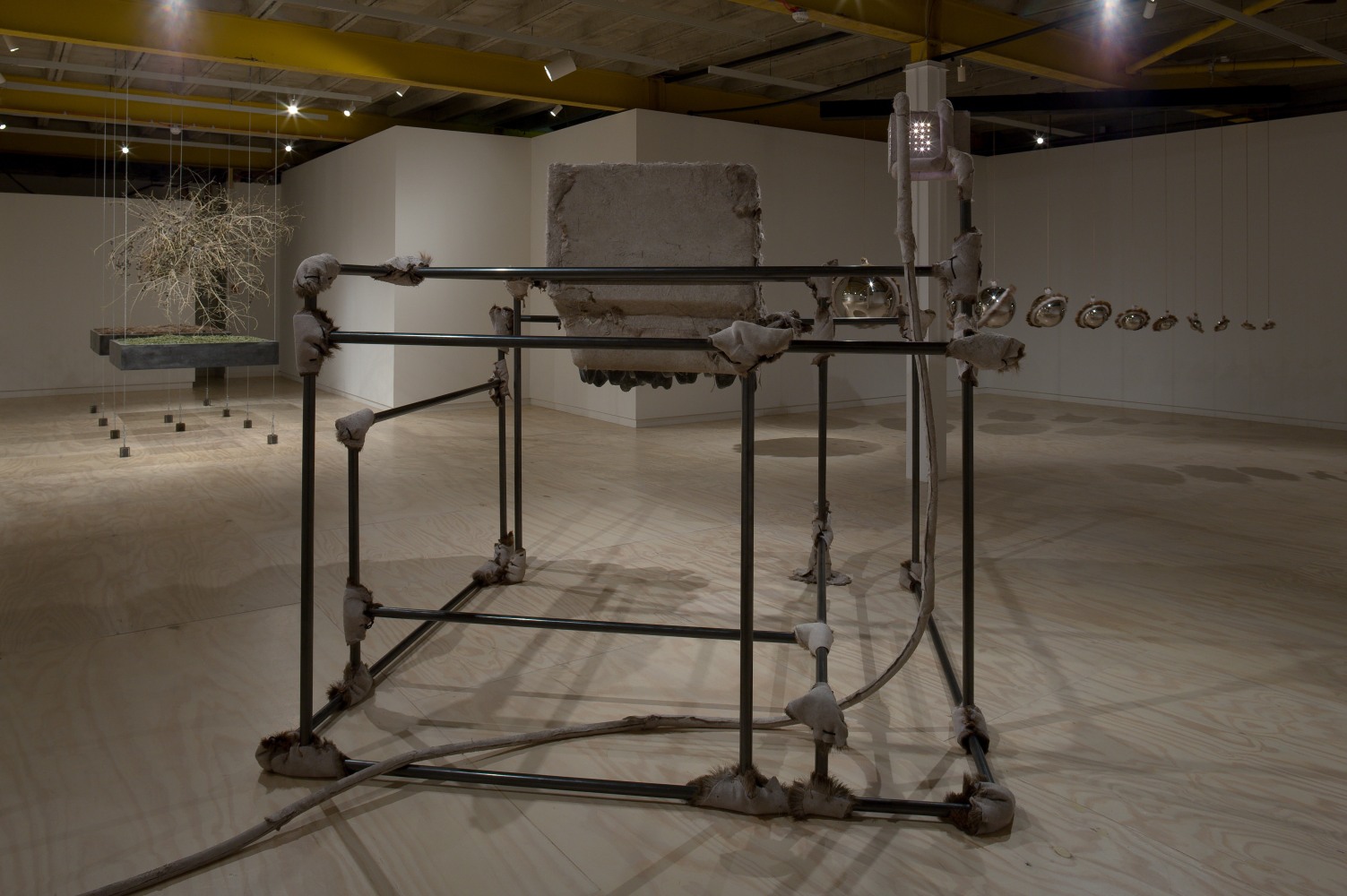 Siobh&amp;aacute;n Hapaska
The Nose that Lost its Dog, 2009
Glasgow Sculpture Studios, Glasgow, UK