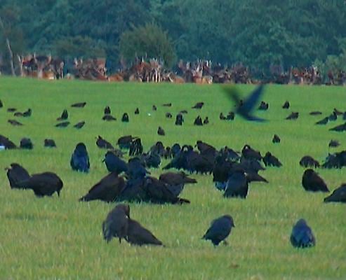 Room Acoustics Revisited
2008
HD DVD
11 minutes 5 sec