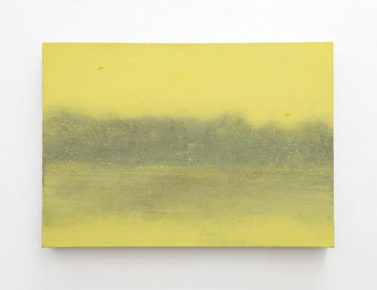 Yellow Trees,&amp;nbsp;2003
acrylic on canvas
42 x 61 cm / 16.5 x 24 in&amp;nbsp; &amp;nbsp;

&amp;nbsp;