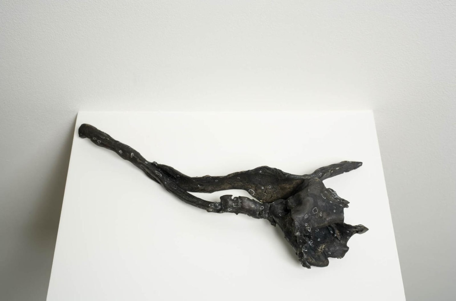 Kathy Prendergast, Small lily