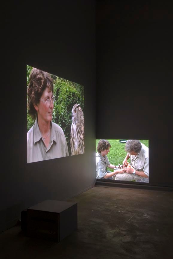 Jaki Irvine
In a World Like This, 2007
Chisenhale Gallery, London, UK