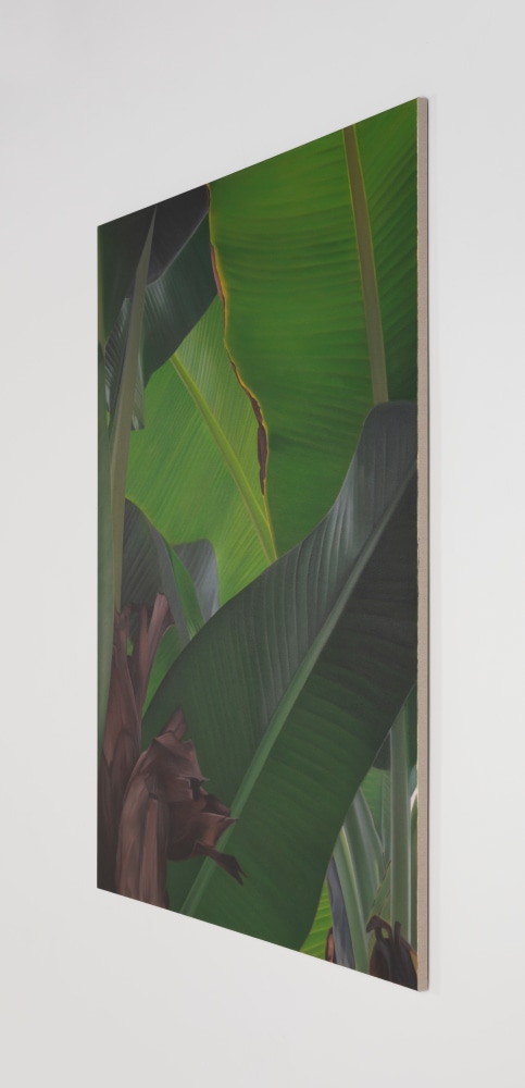 Marcel Vidal
Banana IX
2021
oil on linen
160 x 120 x 2.5 cm / 63 x 47.2 x 1 in