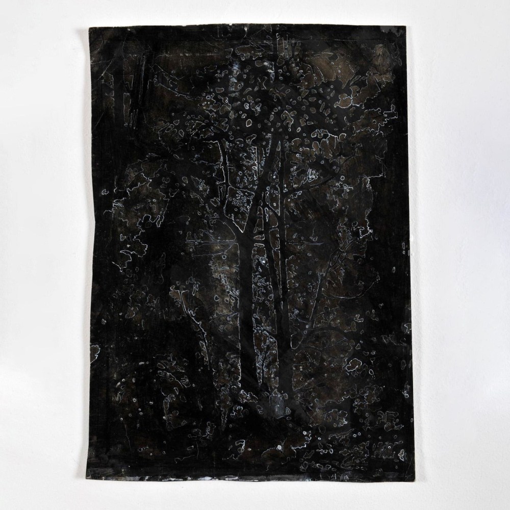 Kathy Prendergast, DARK WOODS,