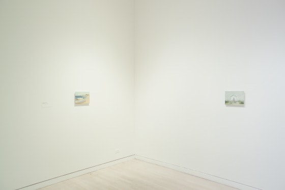 Maureen Gallace
CONCENTRATIONS 43: MAUREEN GALLACE, 2003
Dallas Museum of Art, Dallas, USA