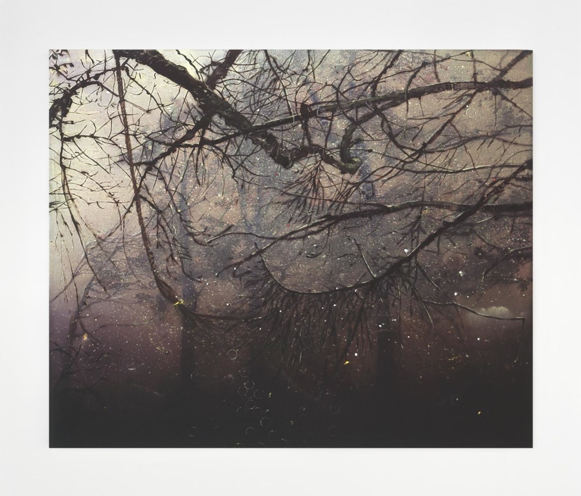 Elizabeth Magill, Rope