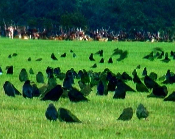 Room Acoustics Revisited 2008