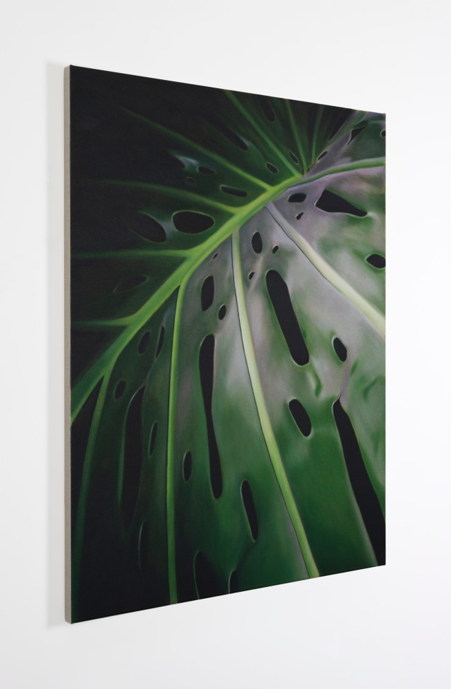 Marcel Vidal&amp;nbsp;
Monstera I,&amp;nbsp;2023
oil on linen
90 x 70 cm / 35.4 x 27.6 in
