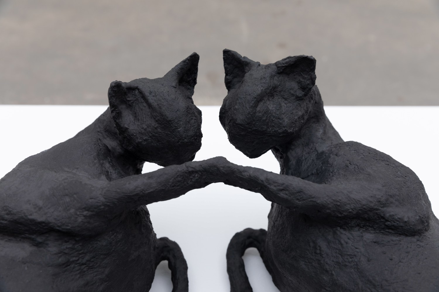 Hannah Fitz
Cats II,&amp;nbsp;2021
wire, card, tape, plaster bandage, pigmented jesmonite
18 x 74 x 43 cm / 7.1 x 29.1 x 16.9 in