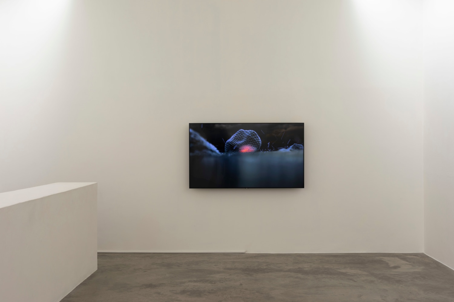 Jaki Irvine
Floaters, 2024
Video and sound installation, 4:18 minute loop duration