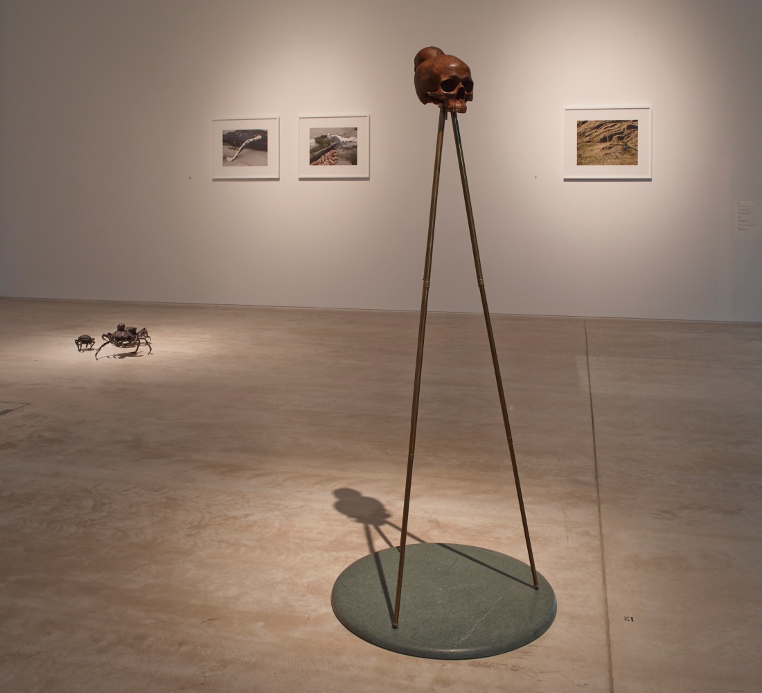 Dorothy Cross
Connemara, 2013
Turner Contemporary, Margate, Kent, UK