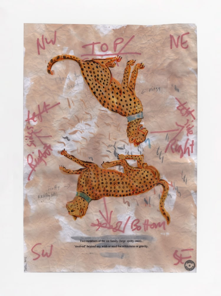 A.K.A Big Balls 2012