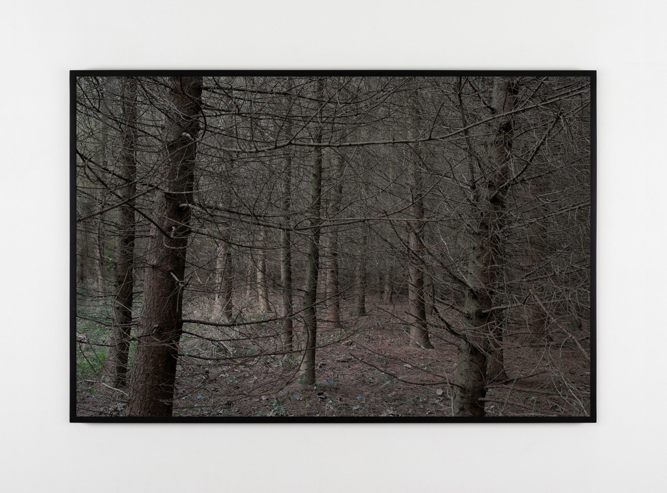 Willie Doherty&amp;nbsp;
Ghost Walk III, 2016
pigment print mounted on aluminium, edition of 3
109 x 162.5 x 5 cm / 42.9 x 64 x 2 in framed
Collection of British Government Art Collection