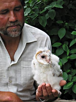 In a world like this
2007
9 Screen video installation, 4:3 PAL DVD
Continuous Loop