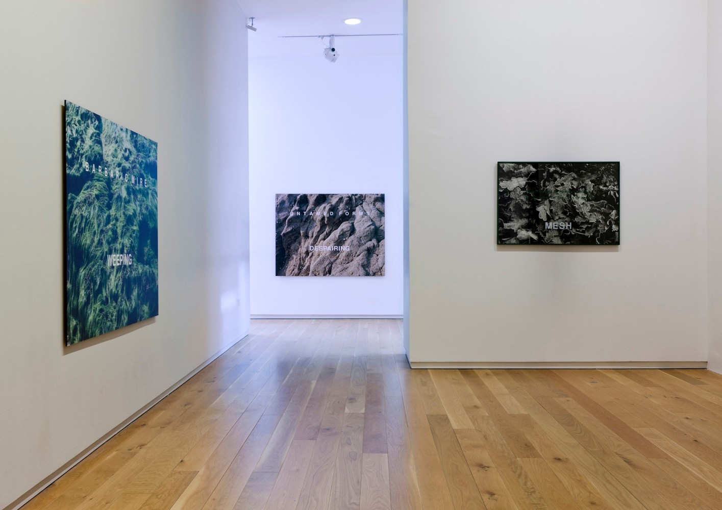 Willie Doherty
Disturbance, 2011
Hugh Lane Gallery, Dublin