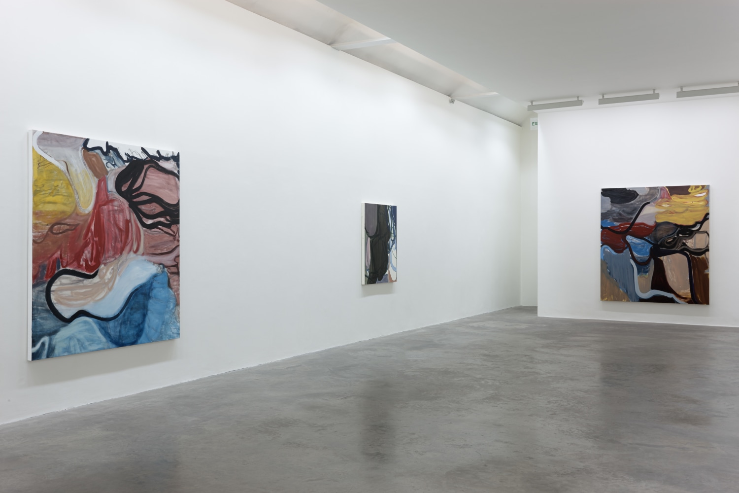 Liliane Tomasko
Sense, 2015
Kerlin Gallery, Dublin, Ireland

&amp;nbsp;