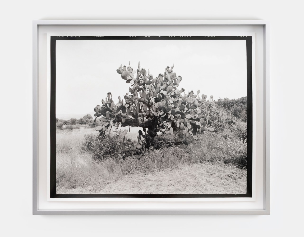 Gerard Byrne&amp;nbsp;
M7 / Roll 41 / Exp 07,&amp;nbsp;2008 - ongoing
hand-printed silver gelatin print, aluminium frame, edition of 3
38.6 x 47.8 cm / 15.2 x 18.8 in print size&amp;nbsp;
44 x 53.5 x 5 cm / 17.3 x 21.1 x 2 in framed
