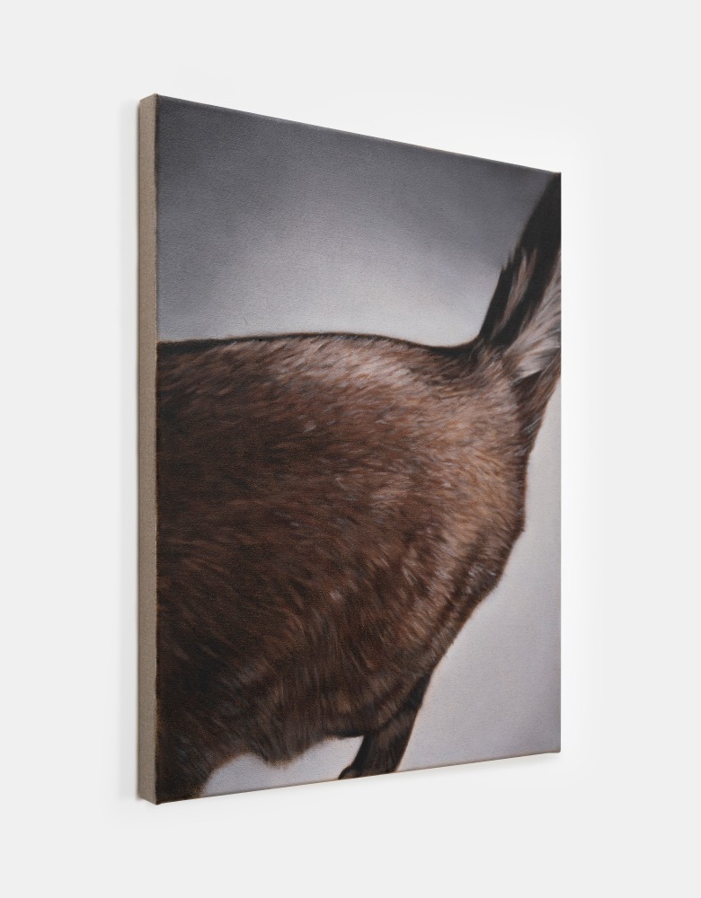 Marcel Vidal

Cat III, 2024

oil on linen

45 x 35 cm / 17.7 x 13.8 in