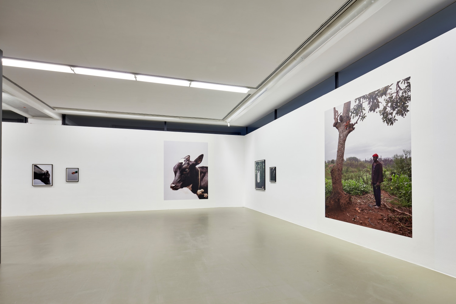 Paul Seawright
Beasts of Burden, 2020
St&amp;auml;dtische Galerie Nordhorn, Germany&amp;nbsp;