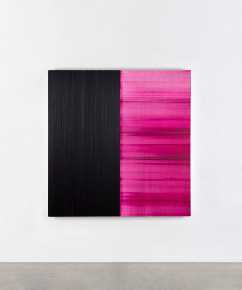 Callum Innes - Artists - Kerlin Gallery