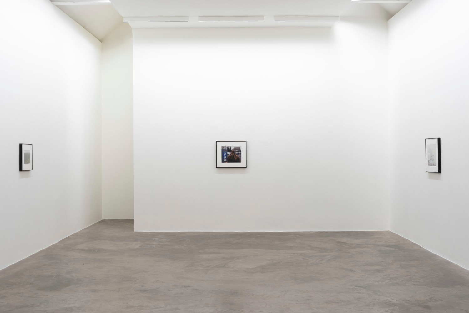 Samuel Laurence Cunnane - Late Spring - Exhibitions - Kerlin Gallery