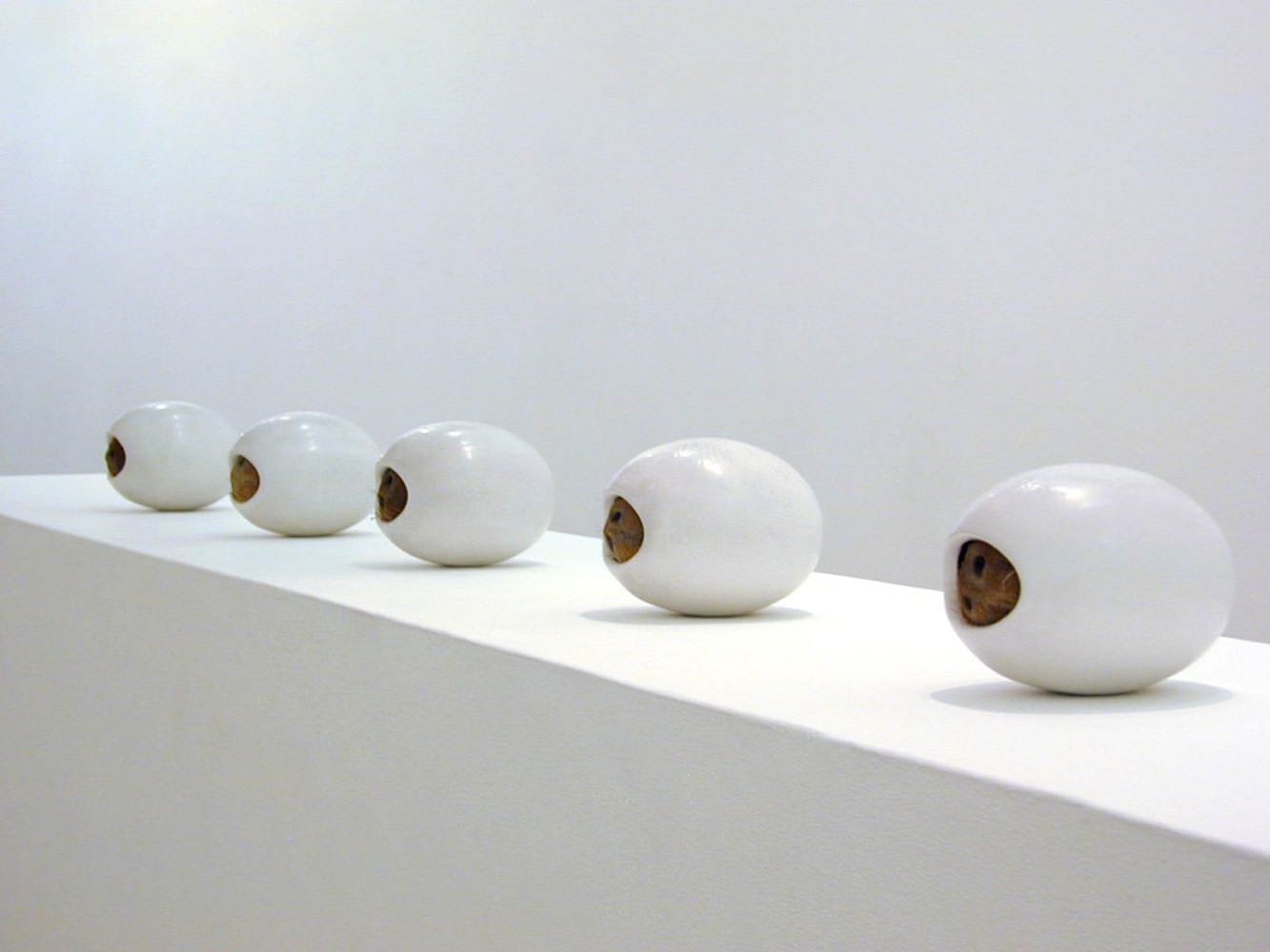 Siobhán Hapaska, Cease Firing On All Fronts, 04