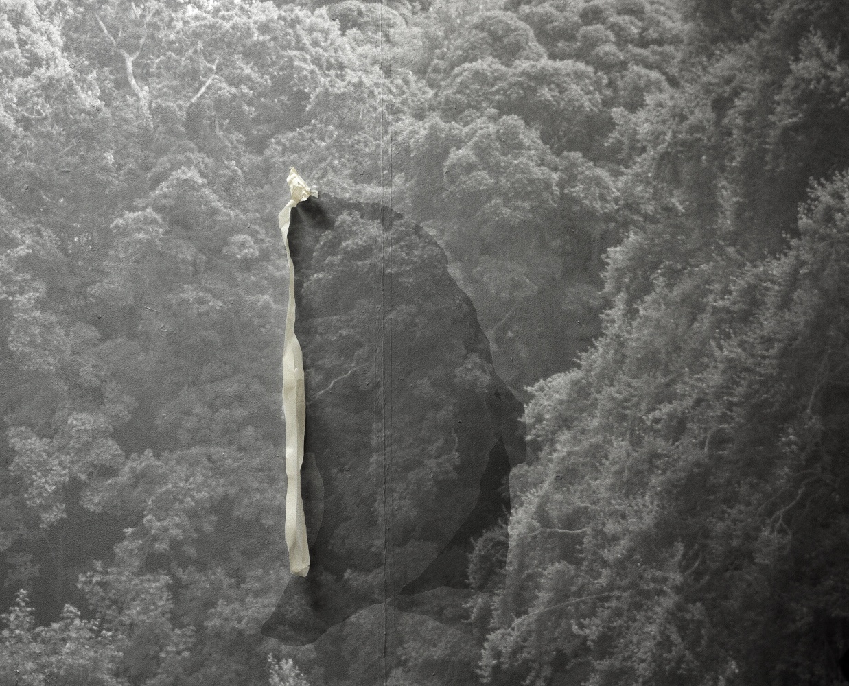 Ailbhe N&amp;iacute; Bhriain&amp;nbsp;

Inscriptions (1) 2017

Pigment Baryta print, in raw walnut frame with clarity glass, edition of 10 + 3AP

103 x 127 cm / 40.6 x 50 in framed &amp;nbsp;