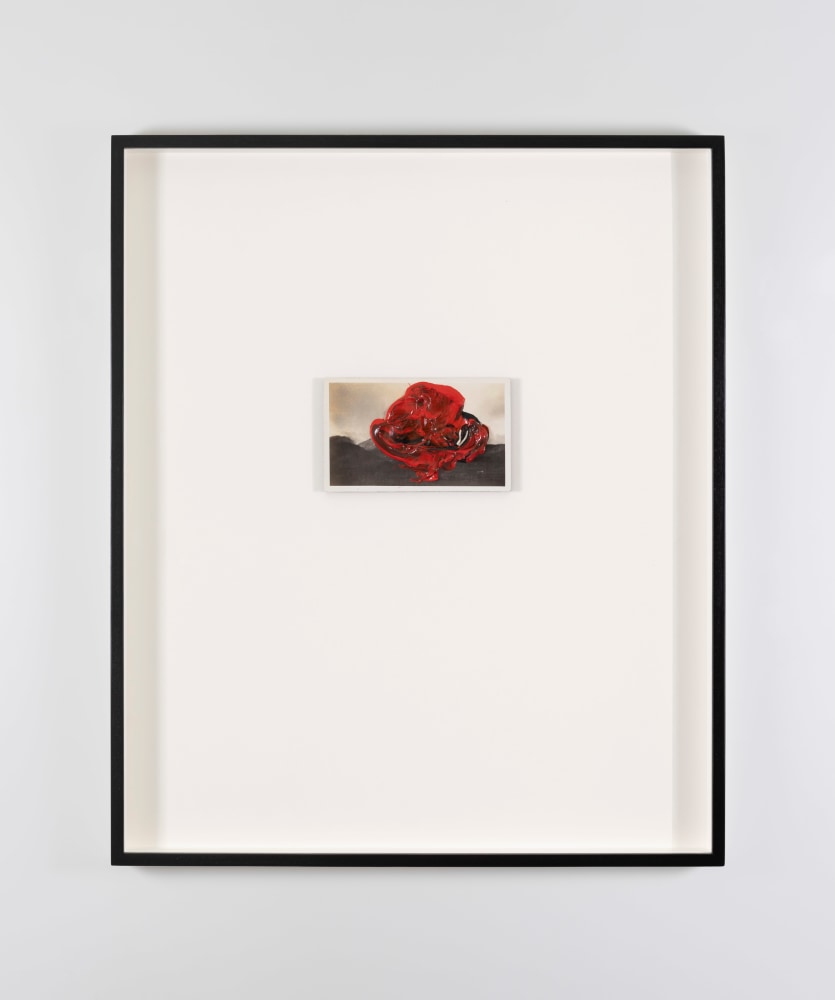 Ailbhe N&amp;iacute; Bhriain&amp;nbsp;
Untitled (seal), 2023
found photograph, acrylic, stained walnut frame with museum glass, unique, framed
56 x 47 x 4 cm / 22 x 18.5 x 1.6 in