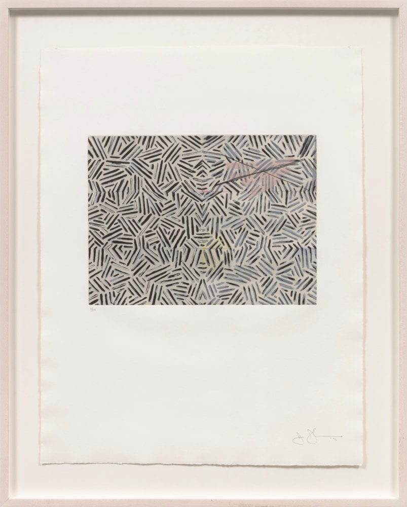 Jasper Johns