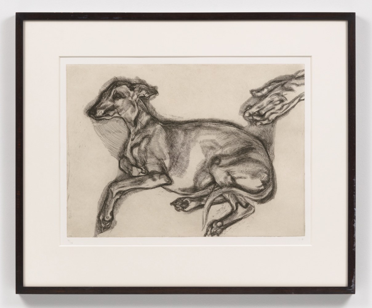 A Lucian Freud etching depicting a dog and human hand on cream paper