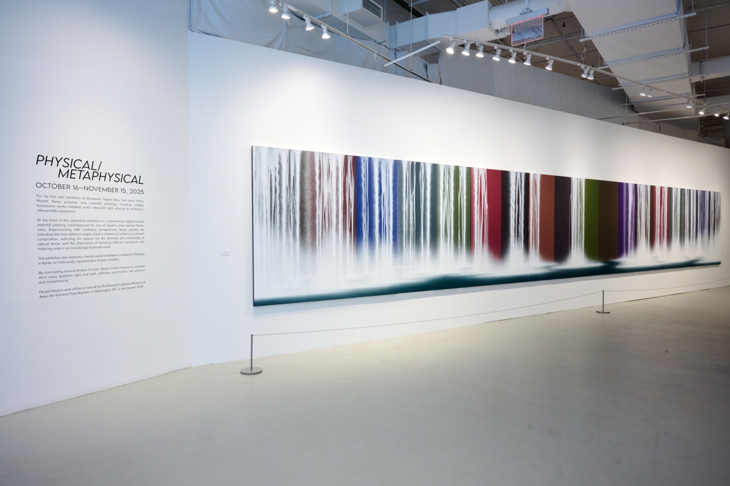 Hiroshi Senju: Physical/Metaphysical