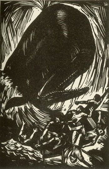 Inv# East South East, Pg. 209, 1929
WdCI 08701