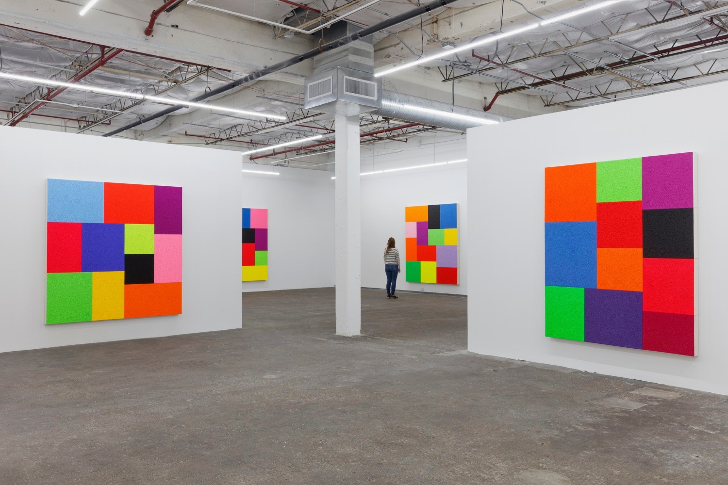 Peter Halley: Cell Grids