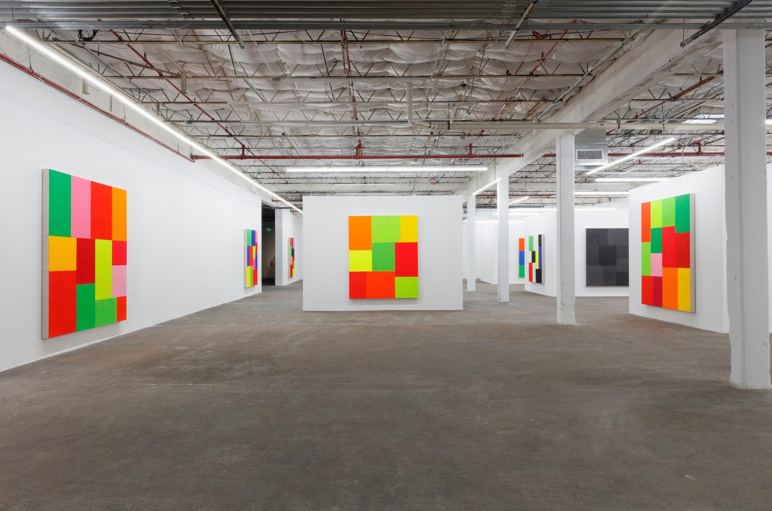 Peter Halley: Cell Grids