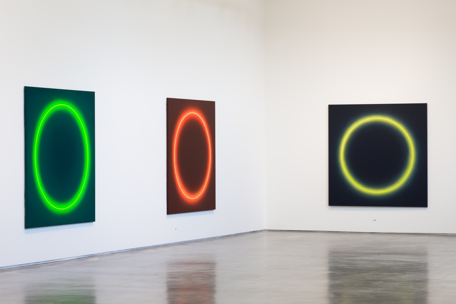 José María Yturralde. Enso. Vista de instalación