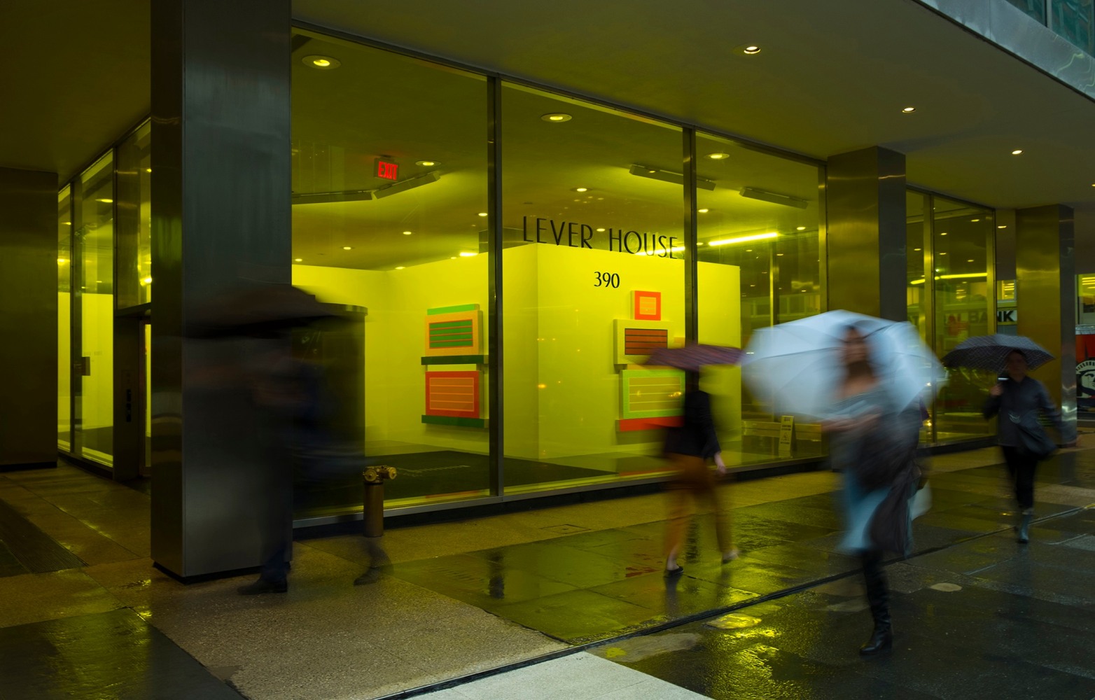 Peter Halley: New York, New York